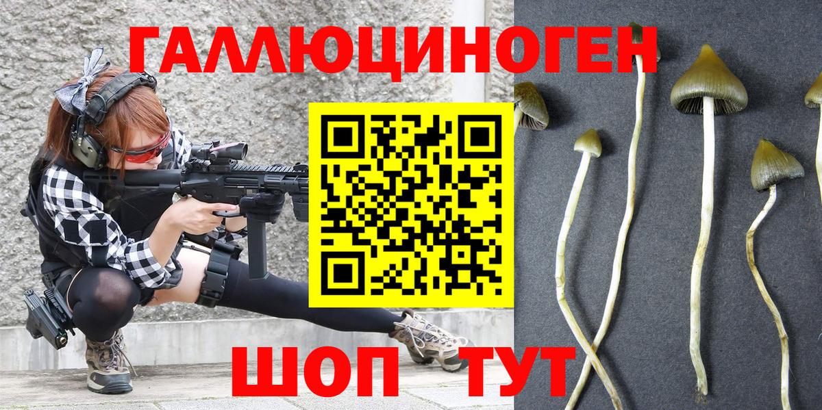 Гусиноозёрск  Псилоцибиновые грибы MAGIC MUSHROOMS  Вход с VPN 